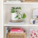 Decorative Delights: Creative Bookshelf Decorating Ideas